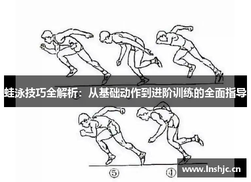 蛙泳技巧全解析：从基础动作到进阶训练的全面指导
